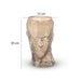 Glass Vase Handicraft HF1514 25HP