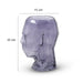 Glass Vase Handicraft HF1514 25ZS