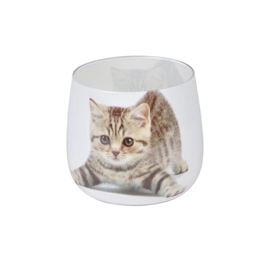 PET ODOUR EXTERMINATOR GLASS CANDLE CAT ¯8*H7,5CM DISPLAY 24PCS