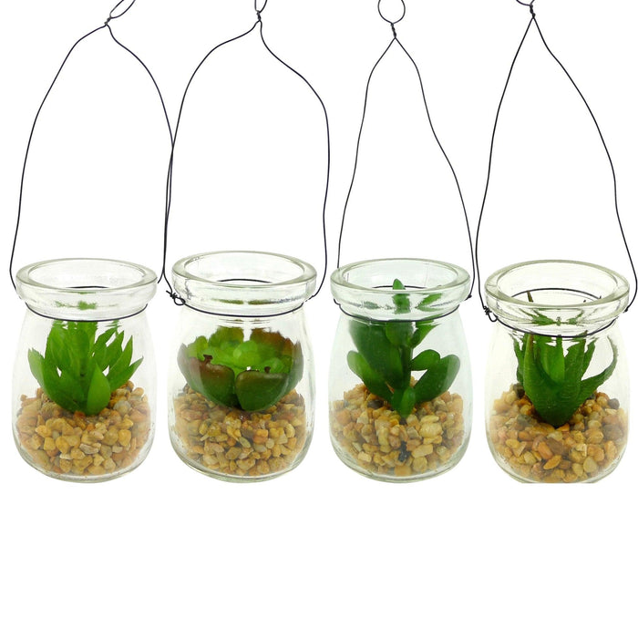 PLANTE A SUSPENDRE BASE FONCE POT VERRE H16CM 4MODELES ASSORTIS