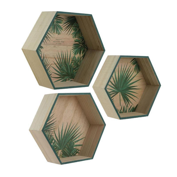 HEXAGONAL SHELF X3