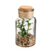 GLASS PHIAL ARTIFICIAL PLANT13CM