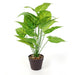 ARTIFICIAL PLANT IN POT 55CM M6