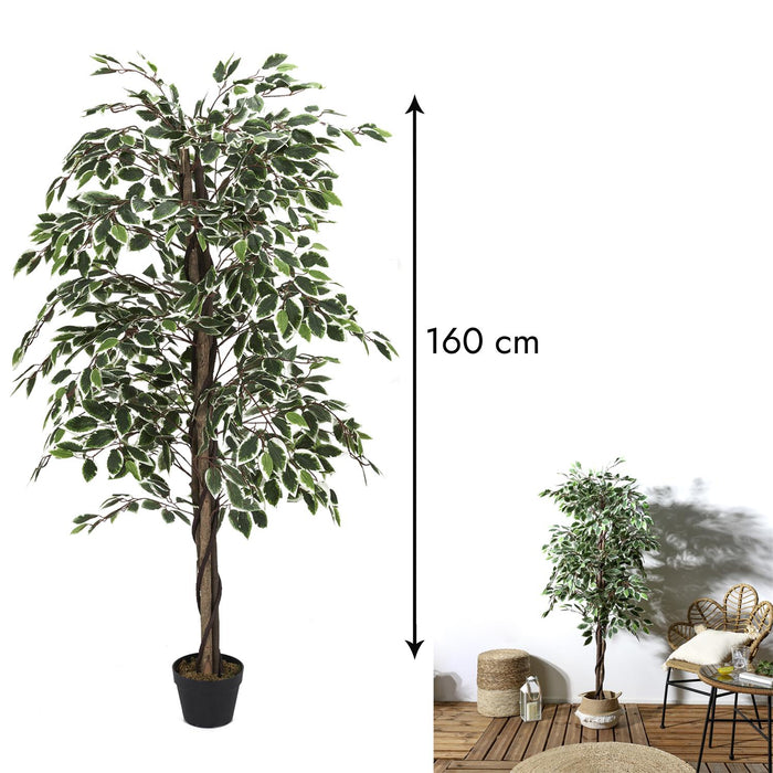 ARTIFICIAL PLANT  FANSHAPED FOLIAGE 160CM