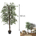 ARTIFICIAL PLANT  FANSHAPED FOLIAGE 160CM