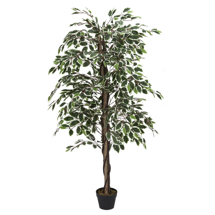 ARTIFICIAL PLANT  FANSHAPED FOLIAGE 160CM