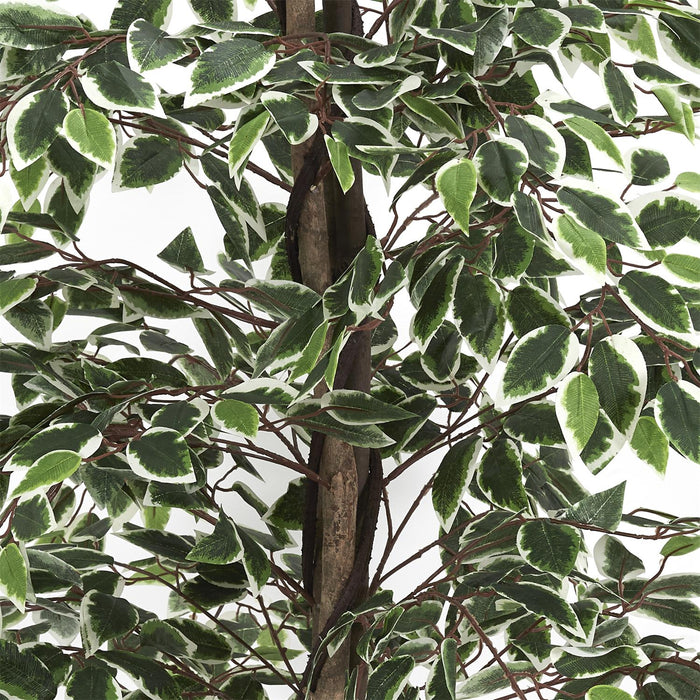 ARTIFICIAL PLANT  FANSHAPED FOLIAGE 160CM