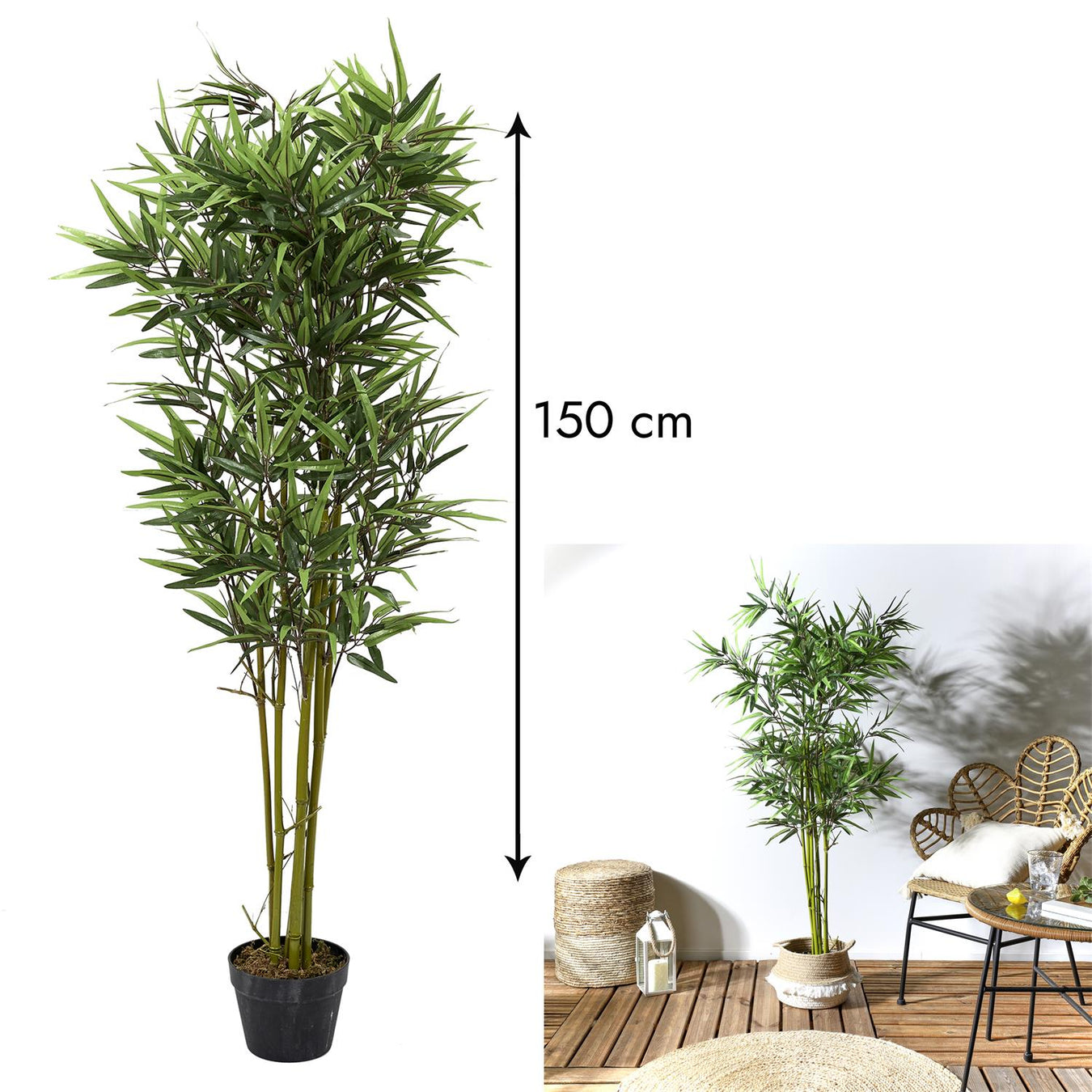 Bamboo
