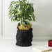 BLACK LION POT HOLDER GOLDEN CROWN D16CM