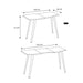 EXTENSIBLE TABLE 6 TO 8 PEOPLE FOREST FIRST