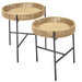 PAMPA NESTING TABLE X2