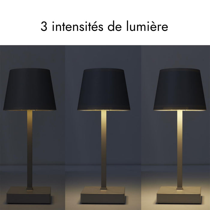 LED TABLE LAMP M12