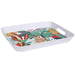 PARADIS EXOTIQUE TRAY 41X32CM