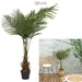 ARTIFICIAL PLANT PALM TREE 120CM M4