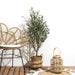 ARTIFICIAL PLANT OLIVE TREE 120CM M4