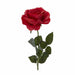 Red Decorative Rose