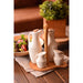 Tile - 5 Pcs Kitchen Cruet Set