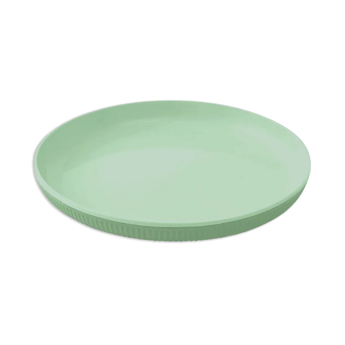 Shell Round Plate (Diameter : 215 mm.)