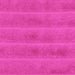 Macroline Fuchsia towels 30*50